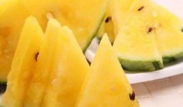 吃瓜黑料精品一区,独家爆料，真相大白